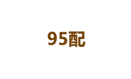 95配